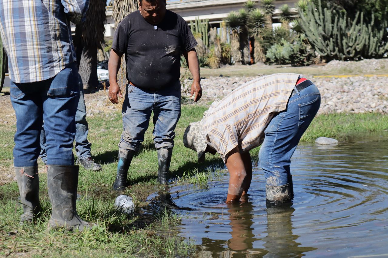 ACUDEN A REPARAR FUGAS… Y ENCUENTRAN TOMAS CLANDESTINAS
