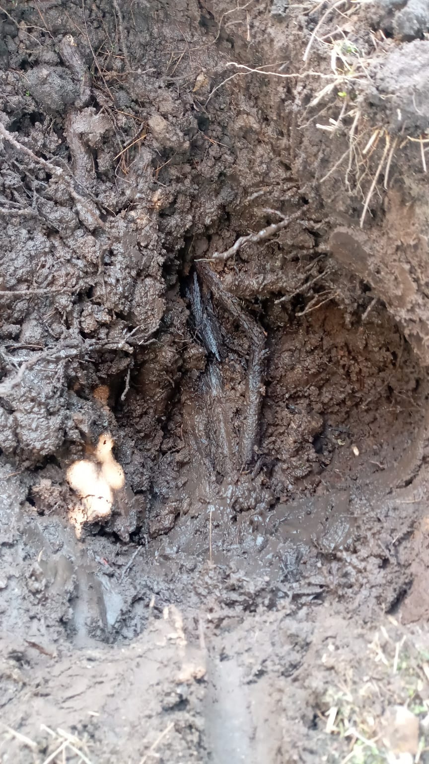 Interapas cancela toma clandestina que era usada para regar un camellón.