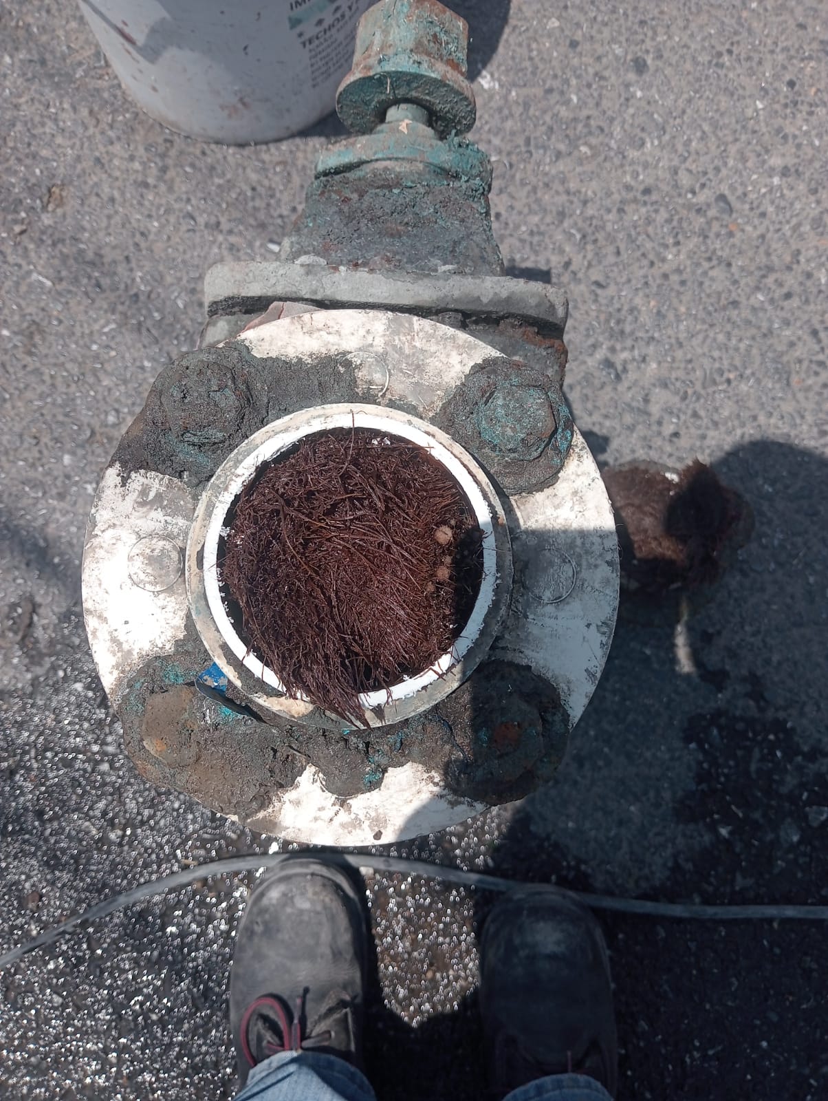 Tras limpieza en la red, INTERAPAS restablece servicio de agua en calles de la colonia Los Reyes.