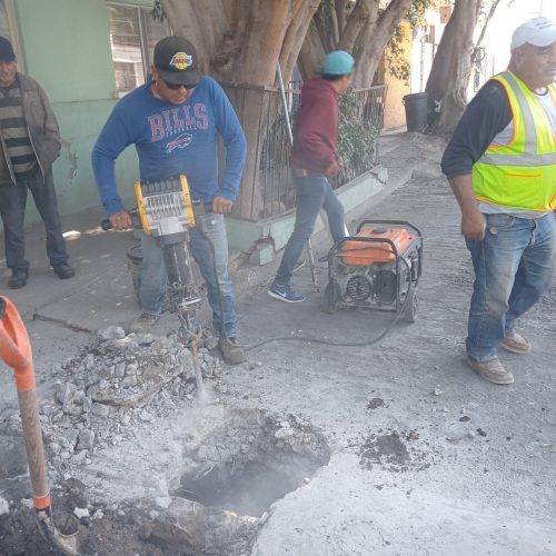 WhatsApp Image 2025-10-13 at 6.16.55 PM (1)