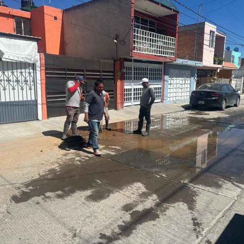 WhatsApp Image 2025-10-22 at 3.09.31 PM